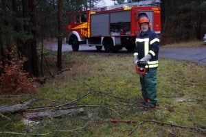 2015-01-09_Baum_Breetze_0003