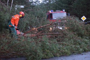 2015-03-31_Orkan_0013a