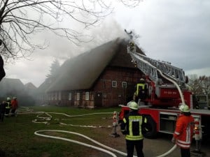 IMG_20150327_135841_2