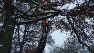 img-20161109-wa0005a